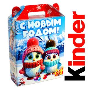 Детский подарок на Новый Год в жестяной упаковке весом 830 грамм по цене 3297 руб в Тольятти